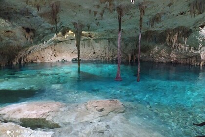 Tour privé des Cenotes