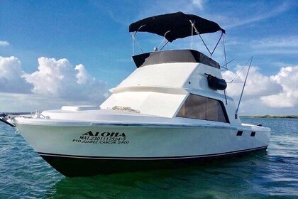 Charter de pesca privado Bertram 31ft 6 pax max si no pesca no paga
