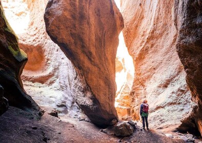 Tenerife: Los Arcos Canyoning Tour with Guide