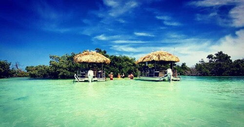 Key West: 4-stündige private Sandbar-Kreuzfahrt auf einem Tiki-Bar-Boot