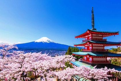 Tokyo: Mt. Fuji, LakeKawaguchiko, Pagoda, & Oishi Park Tour