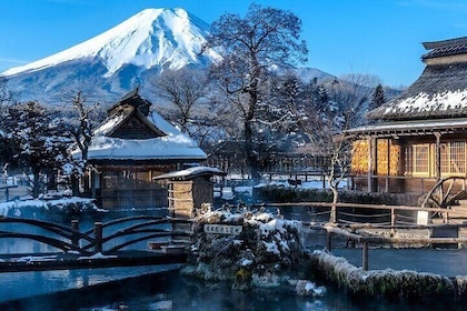 Full Day Private Tour in Mt. Fuji and Hakone