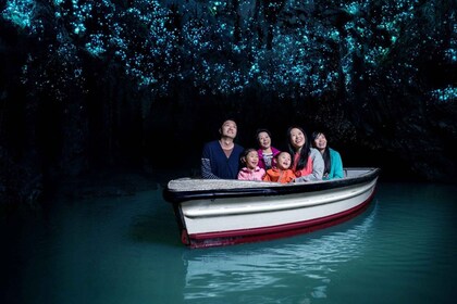 Auckland: Waitomo Caves & Rotorua - Te Puia Small-Group Tour