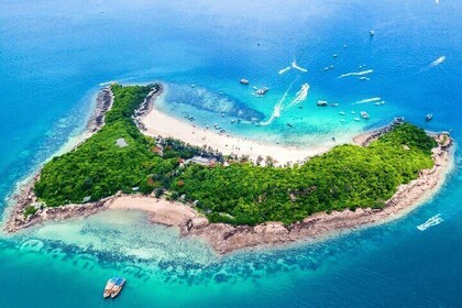 Pattaya: Tour en lancha rápida por la isla de Coral con almuerzo y traslado...