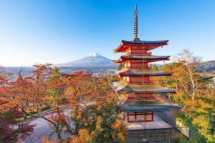 One-day tour to Mount Fuji's popular Attractions From Tokyo