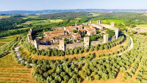 Chianti Half Day Wine Tour from Florence