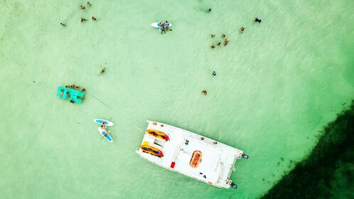 Halbtägiges Key West's Ultimate Sandbar Adventure mit Mangroven-Kajak-Tour