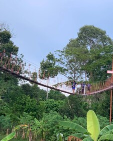 Tarzán Adventure en Pattaya