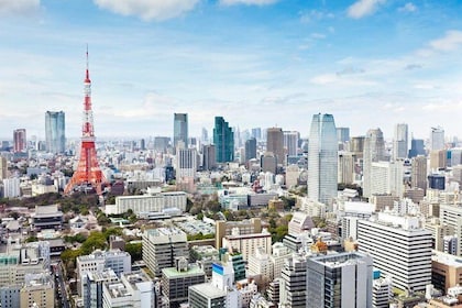 Tokyo 6hr Private Tour with Government-Licensed Guide